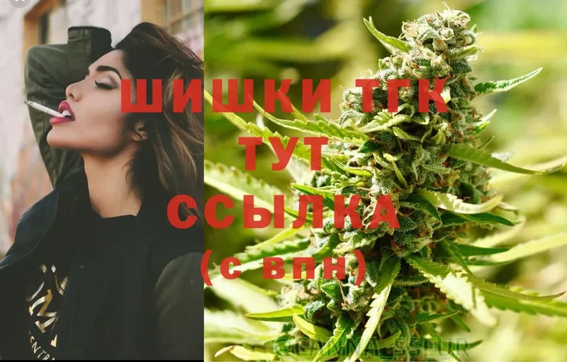 Конопля White Widow  наркотики  Гагарин 